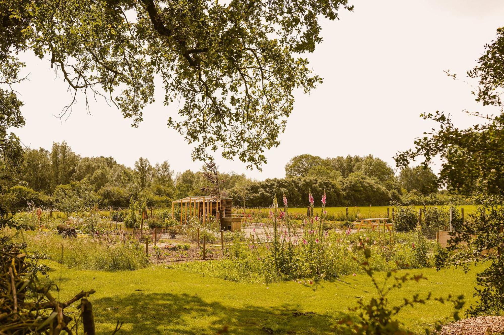 Boutiquehotel & Tiny Houses Plek17 Milsbeek Exterior photo