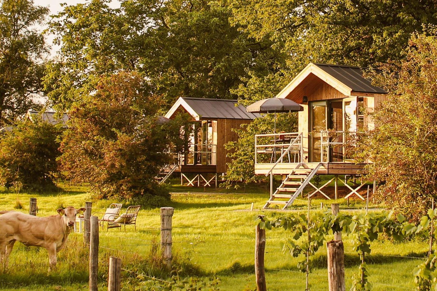 Boutiquehotel & Tiny Houses Plek17 Milsbeek Room photo